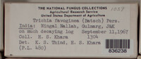 Image Associated With the Occurence